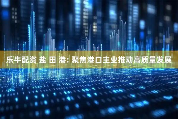 乐牛配资 盐 田 港: 聚焦港口主业推动高质量发展