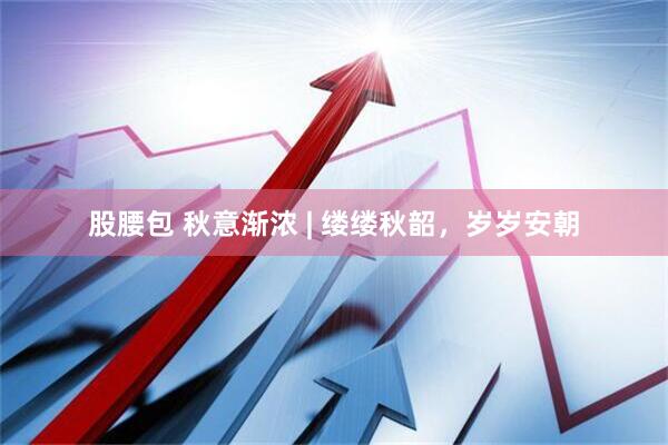 股腰包 秋意渐浓 | 缕缕秋韶，岁岁安朝