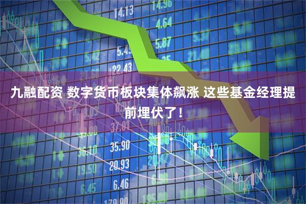 九融配资 数字货币板块集体飙涨 这些基金经理提前埋伏了！