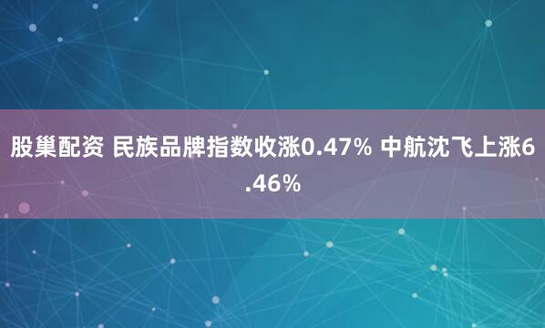 股巢配资 民族品牌指数收涨0.47% 中航沈飞上涨6.46%